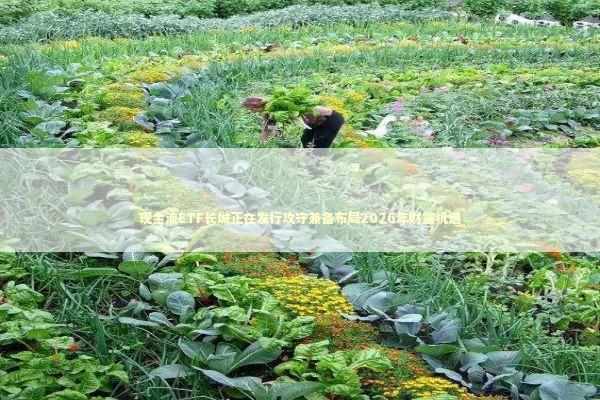 现金流ETF长城正在发行攻守兼备布局2026年财富机遇