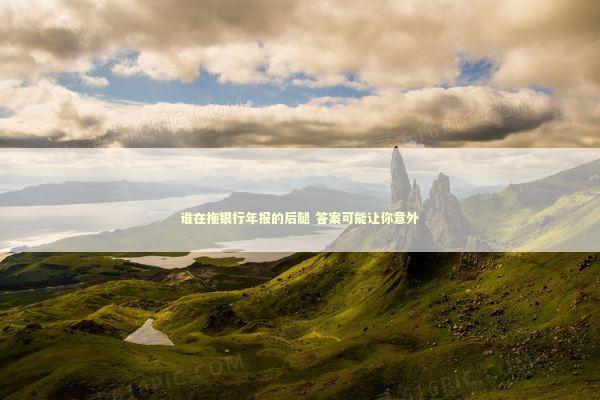谁在拖银行年报的后腿 答案可能让你意外