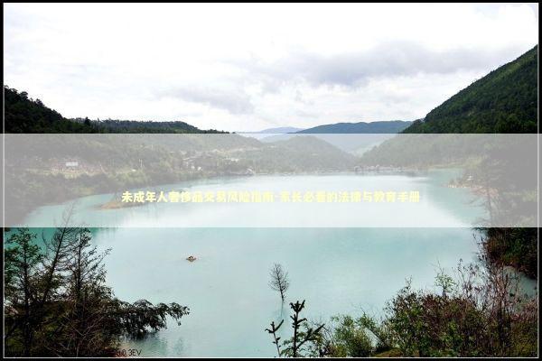 未成年人奢侈品交易风险指南-家长必看的法律与教育手册