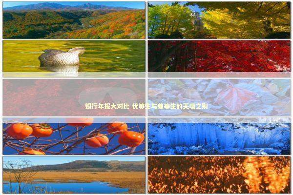 银行年报大对比 优等生与差等生的天壤之别