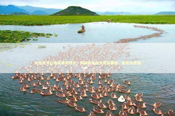 大连可为公布新赛季球衣：胸前赞助商为菜鸟裹裹，背后为滴滴