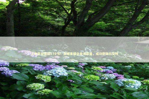 上市首日涨超170%！高端音频企业海菲曼，成功登陆北交所