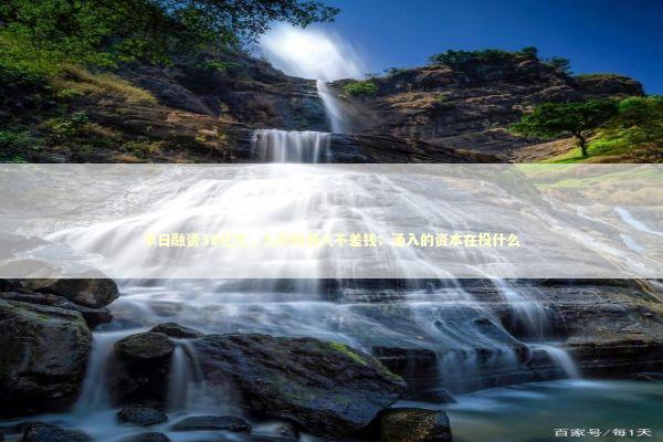 单日融资38亿元，人形机器人不差钱：涌入的资本在投什么