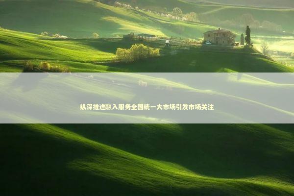 纵深推进融入服务全国统一大市场引发市场关注