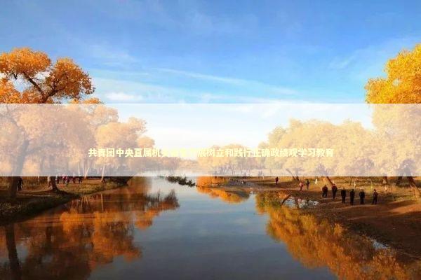 共青团中央直属机关部署开展树立和践行正确政绩观学习教育