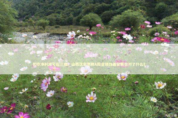 扣非净利减亏超三成！山西这家老牌A股业绩改善背后做对了什么？