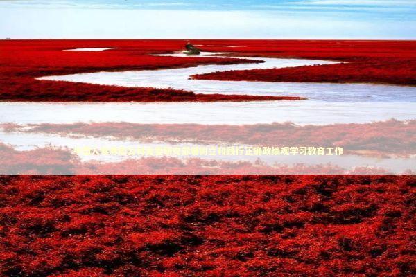 中国人寿寿险公司党委研究部署树立和践行正确政绩观学习教育工作