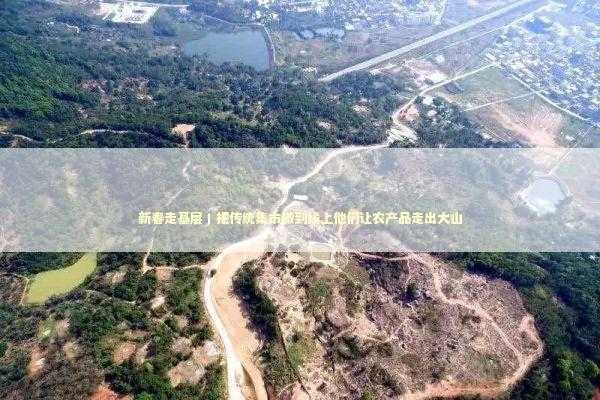 新春走基层丨把传统集市搬到线上他们让农产品走出大山