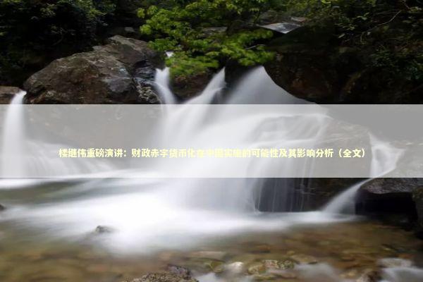 楼继伟重磅演讲：财政赤字货币化在中国实施的可能性及其影响分析（全文）