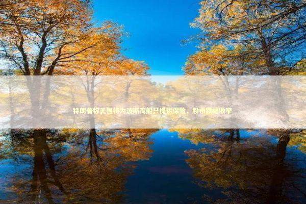 特朗普称美国将为波斯湾船只提供保险，股市跌幅收窄