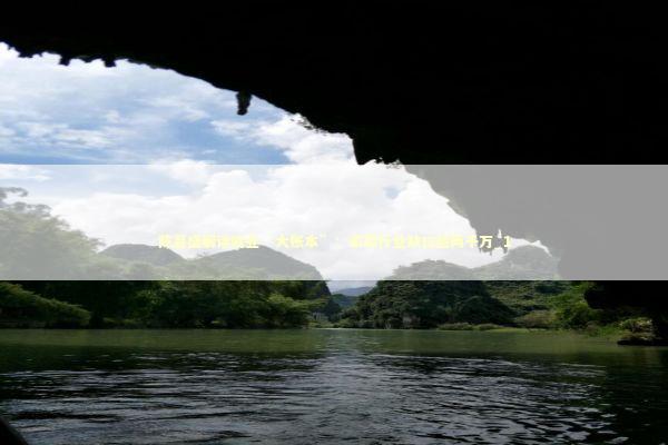 陈昌盛解读就业“大账本”：家政行业缺口超两千万_1