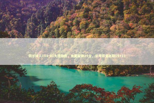 凯尔特人108-81大胜雄鹿，普里查德25分，字母哥复出取19+11