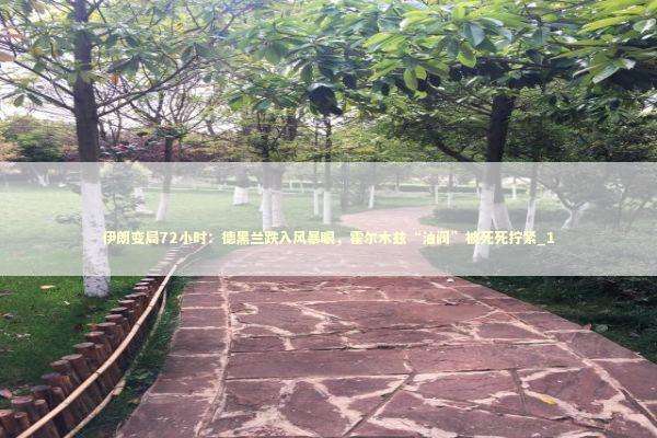 伊朗变局72小时：德黑兰跌入风暴眼，霍尔木兹“油阀”被死死拧紧_1