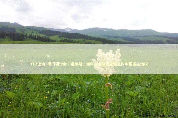 312上海·闭门研讨会｜道琼斯：如何在全球供应链重构中把握主动权