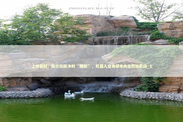 上纬新材：股价狂飙净利“腰斩”，机器人业务探索尚在初始阶段_1