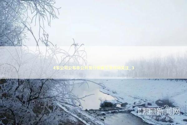 4家公司公布非公开发行预案引发市场关注_3