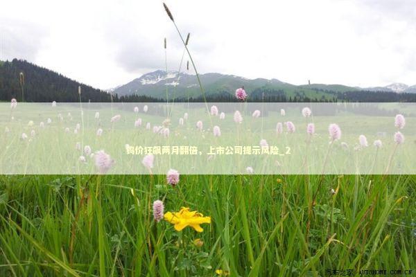 钨价狂飙两月翻倍，上市公司提示风险_2