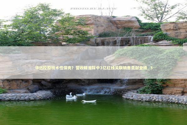 华远控股技术性保壳？营收精准踩中3亿红线关联销售贡献业绩_3