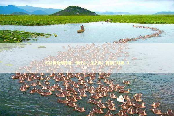 科技保险保障谁、保什么、怎么保？四部门明确_3