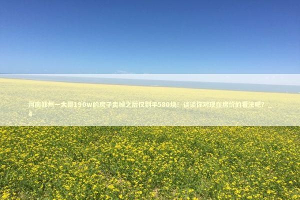 河南郑州一大哥190w的房子卖掉之后仅到手580块！谈谈你对现在房价的看法吧？_4