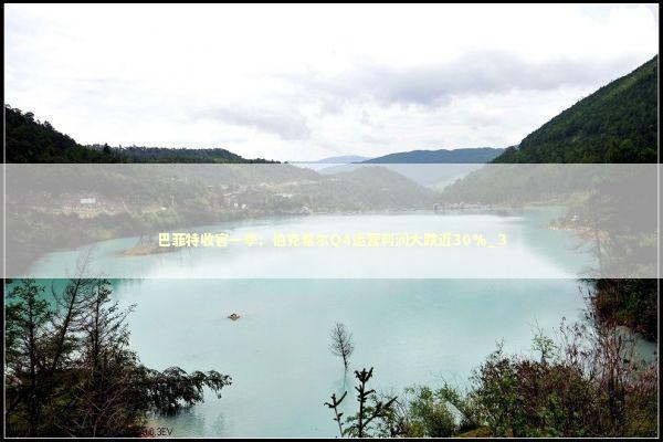 巴菲特收官一季：伯克希尔Q4运营利润大跌近30%_3