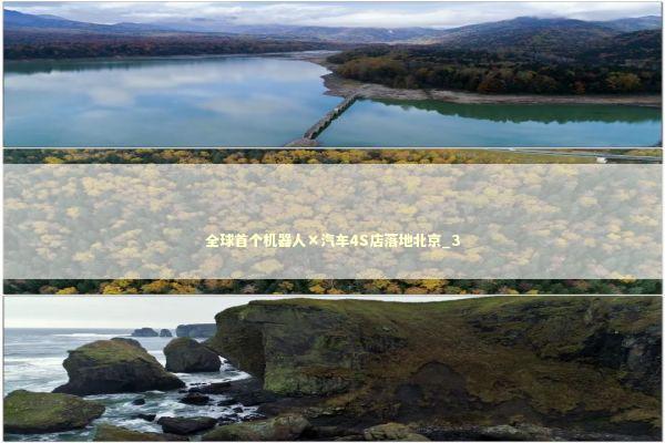 全球首个机器人×汽车4S店落地北京_3