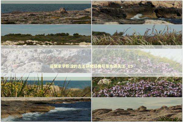 凝聚家学积淀的古玉研究经典引发市场关注_15