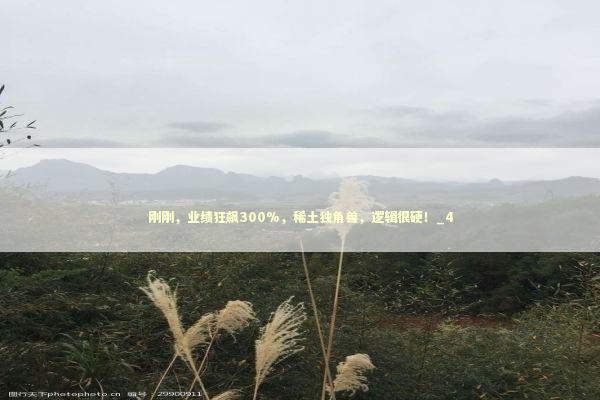 刚刚，业绩狂飙300%，稀土独角兽，逻辑很硬！_4