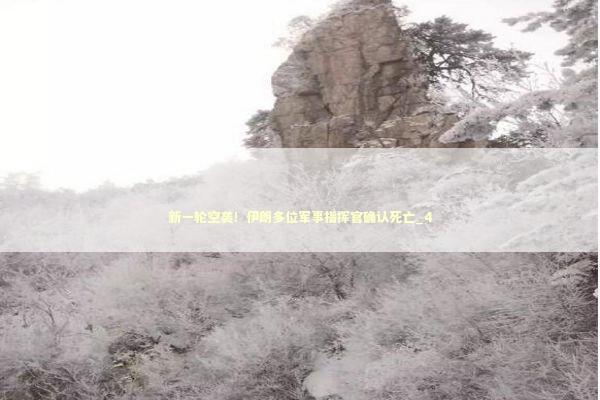 新一轮空袭！伊朗多位军事指挥官确认死亡_4