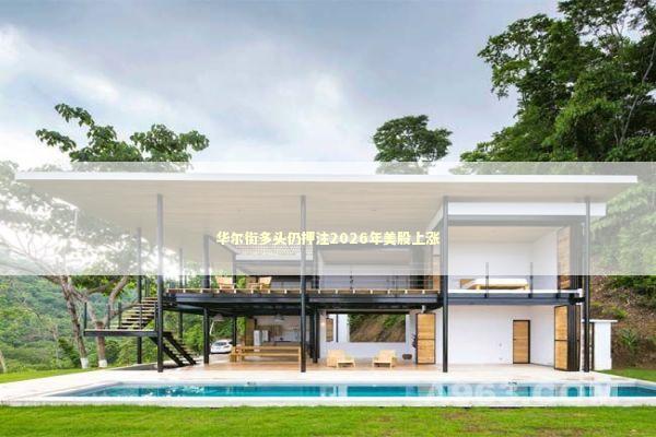 华尔街多头仍押注2026年美股上涨