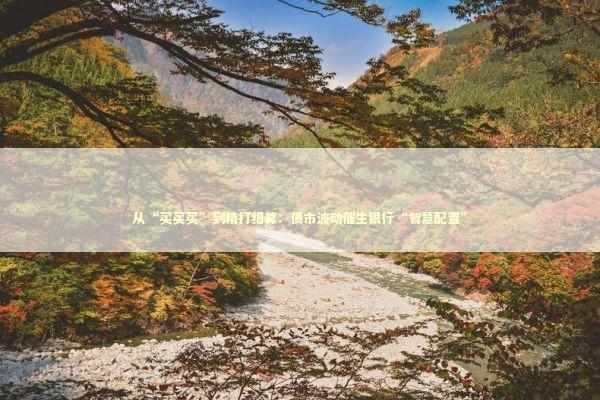 从“买买买”到精打细算：债市波动催生银行“智慧配置”