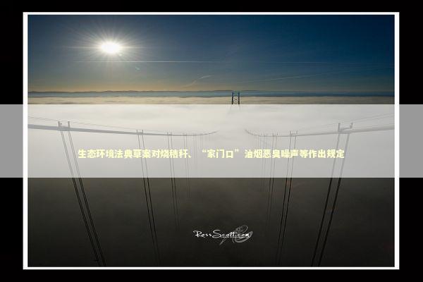 生态环境法典草案对烧秸秆、“家门口”油烟恶臭噪声等作出规定