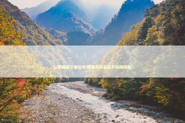 公募调研节奏加快 跟着机构买能不能赚钱呢