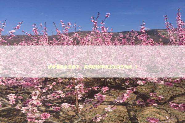 战争叠加天量赤字，美债避险神话正在悄然动摇_2