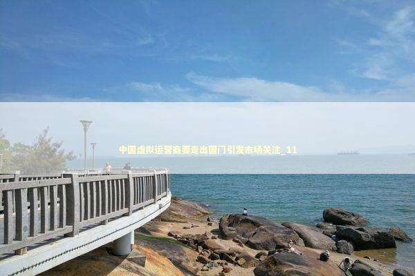 中国虚拟运营商要走出国门引发市场关注_11