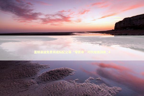 直销渠道免费将成标配公募“零费率”时代加速到来_4