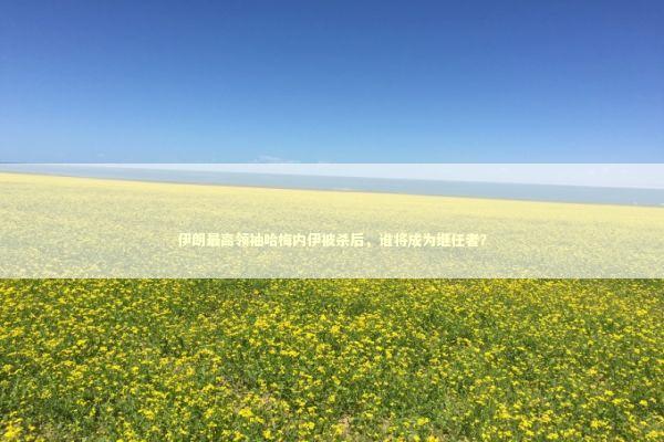 伊朗最高领袖哈梅内伊被杀后，谁将成为继任者？