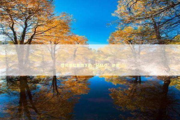 雪贝港股暴跌下的“HALO”逆流