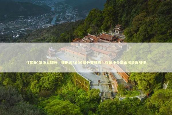 注销60家法人牌照、清退逾3000家分支机构！保险中介清虚提质再加速