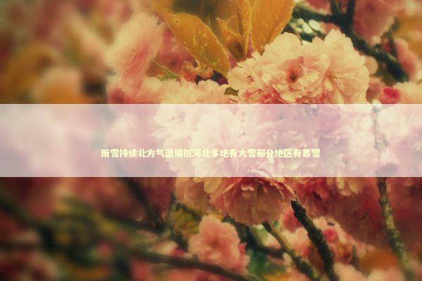 雨雪持续北方气温偏低河北多地有大雪部分地区有暴雪