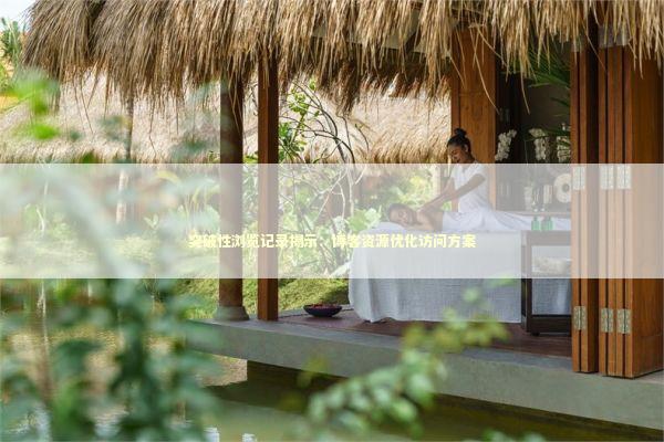 突破性浏览记录揭示：博客资源优化访问方案