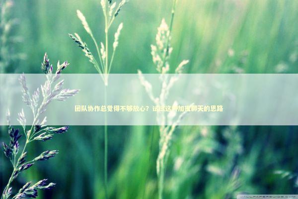 团队协作总觉得不够放心？试试这种加密聊天的思路