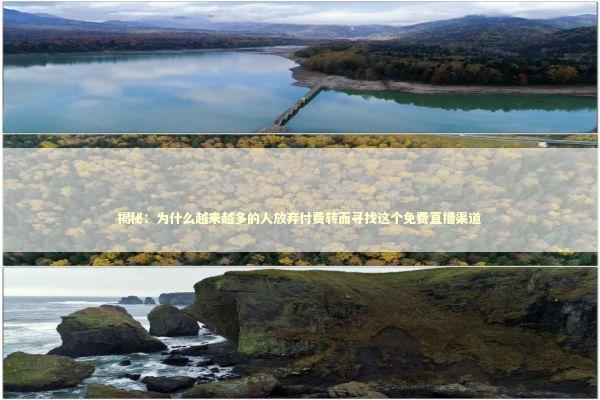 揭秘：为什么越来越多的人放弃付费转而寻找这个免费直播渠道