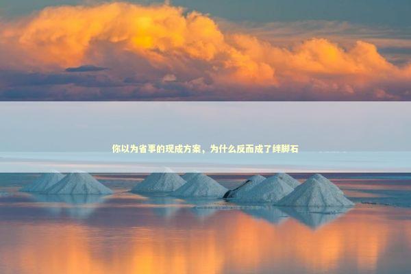 你以为省事的现成方案，为什么反而成了绊脚石 IT技术